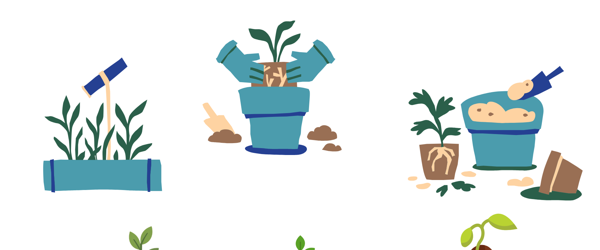 Echanges de savoir Bouturothèque